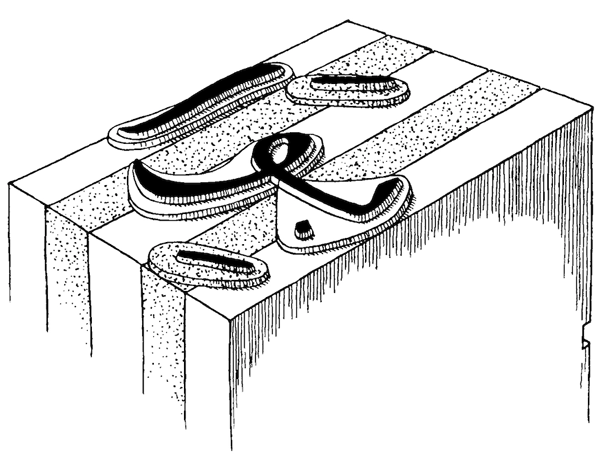 Type Design